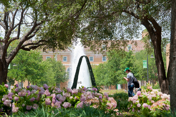 UNT campus, arch, fountain and flowers